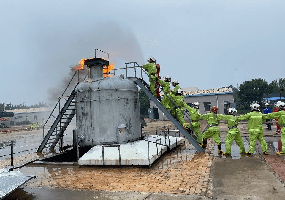 Professional training
